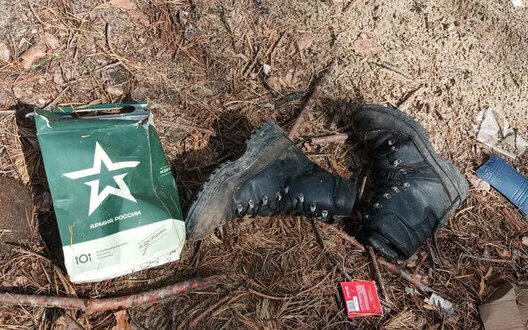 Зеленський: Росія мобілізує 40-45 тисяч на місяць, ЗСУ знищили понад 100 тисяч за три місяці