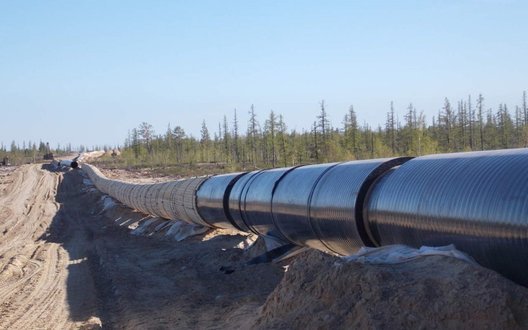 ЄС пропонує Україні допомогу з ремонтом нафтогону «Дружба» на тлі блокади Угорщини