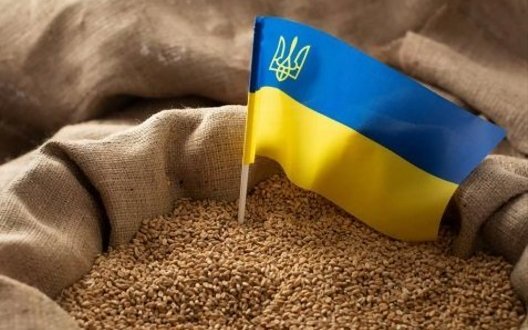 Молдова скликає засідання щодо транзиту українського зерна через загрозу протестів фермерів