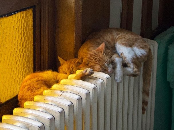 В Україні завершують опалювальний сезон: Миколаїв першим відключить тепло 24 березня