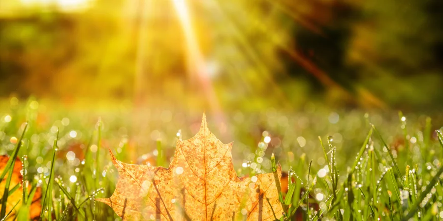 В Україну повертається спека до +33°C: найспекотнішим буде середа