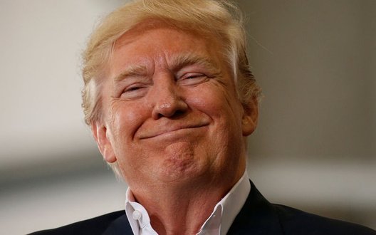 AfD вперше здобула більшість у Саксонії-Ангальт: Трамп привітав, Мерц засудив зв'язки з Росією