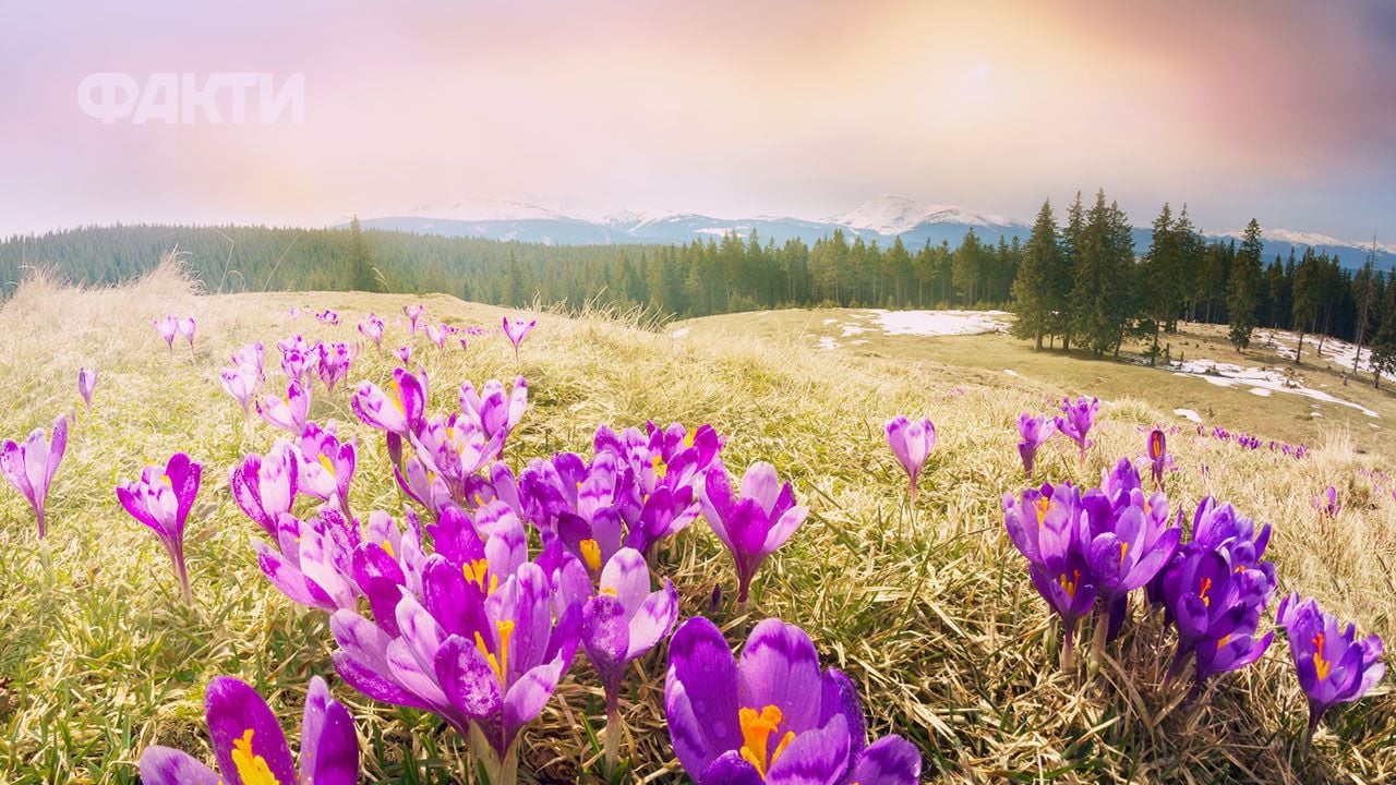 В Україну повертається тепло: синоптики обіцяють до +20°C вже з 26 березня