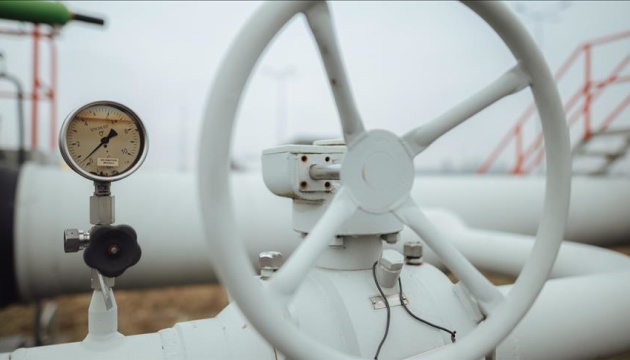 AfD і представник Путіна готують зустріч щодо відновлення постачань газу з Росії до Німеччини