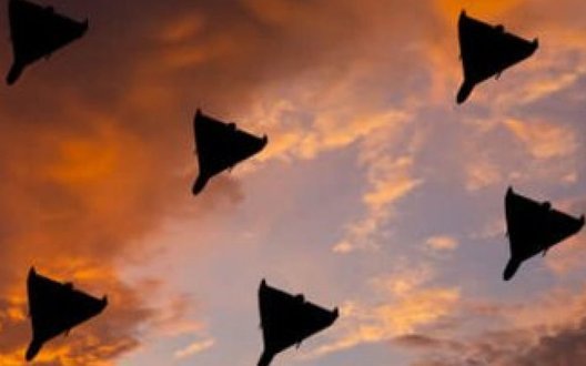 Росія атакувала дронами Київщину: пошкоджені підприємства та будинки у Броварах