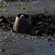 Ранкові удари РФ по Київщині: пожежі у Броварах та приліт поблизу Victoria Gardens