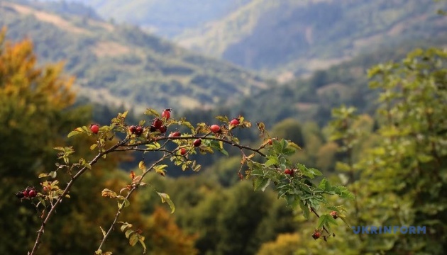 Погода в Україні 29 вересня: сухо та тепло, до +23°C на півдні