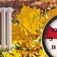 Тарифи на електроенергію з 1 жовтня: хто отримає пільгу, а хто заплатить більше