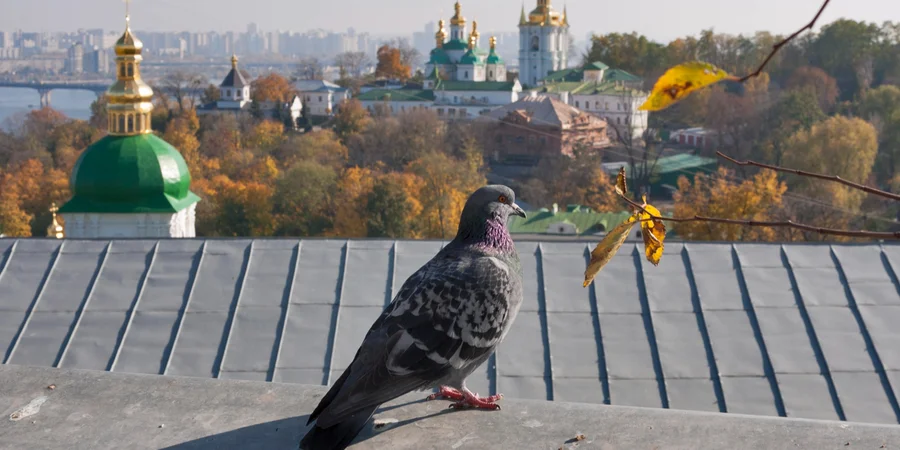 8 жовтня стане найтеплішим днем осені в Україні: до +26° на заході