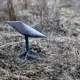 Starlink в Україні: скандал навколо обмеження швидкості та звинувачень на адресу США