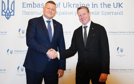 Залужний зустрівся зі Швецією: координація озброєнь та обмін бойовим досвідом