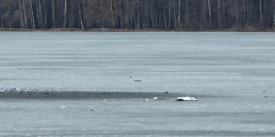 Країни Балтії заперечують участь в ударах по РФ: Росія веде інформаційну операцію