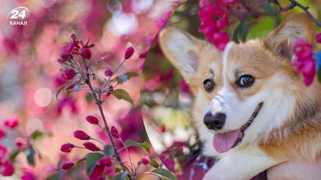 Контрастна погода в Україні 4 березня: морози вночі та до +15 вдень