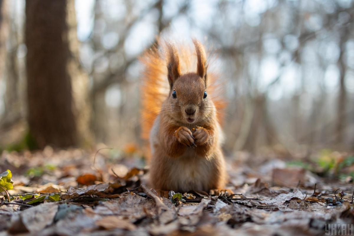 Погода 30 березня: похолодання та дощі по всій Україні