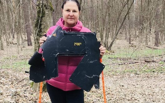 Посол ЄС Матернова знайшла уламок «Шахеда» під час прогулянки у київському лісі