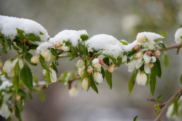 На Великдень в Україні очікуються дощі та заморозки до -3 градусів