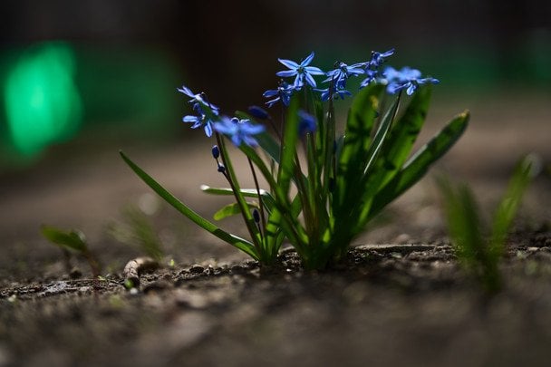 Погода в Україні 13 квітня: дощі у більшості областей, температура до +15°C