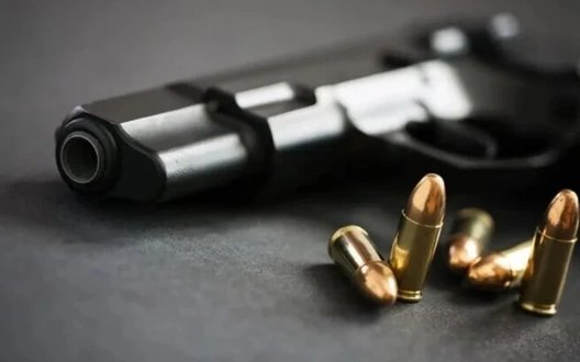 Клименко запропонував законопроєкт про право громадян на збройний самозахист