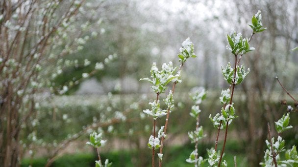 Синоптики попередили про затяжне похолодання в Україні до початку травня