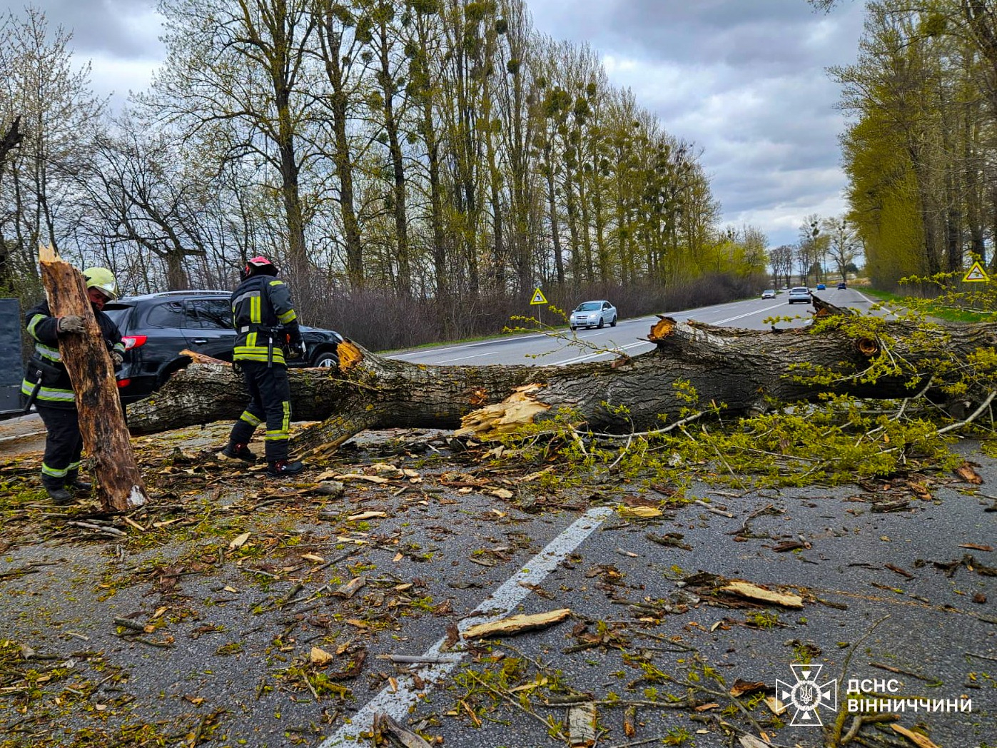 Негода у 10 областях України: повалені дерева, постраждалі діти та заморозки на вихідних