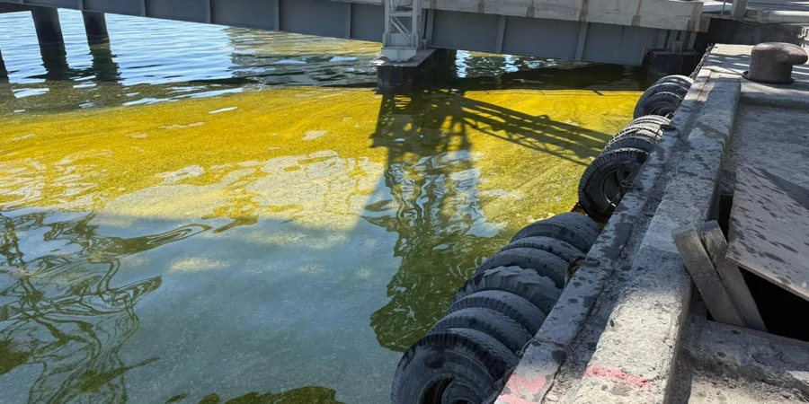 Атака РФ на порт Чорноморськ: тисячі тонн олії вилилися в Чорне море