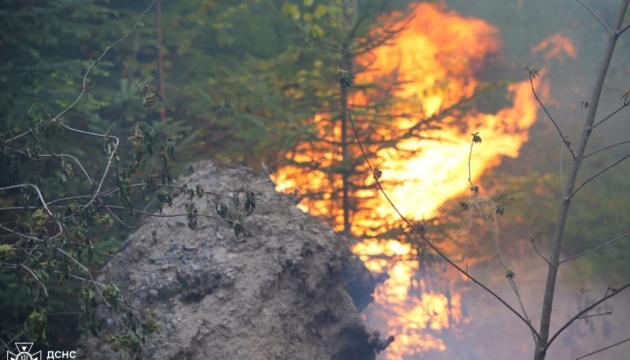 На Закарпатті вирує масштабна лісова пожежа: 75 гектарів, залучено авіацію
