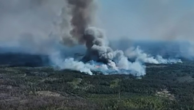 На Чернігівщині через обстріли РФ горить 2400 гектарів лісу: рятувальники не мають доступу