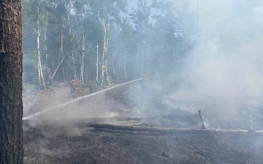 РФ атакувала Україну дронами ввечері 14 травня: удари по Одещині та нові пожежі у Чорнобилі