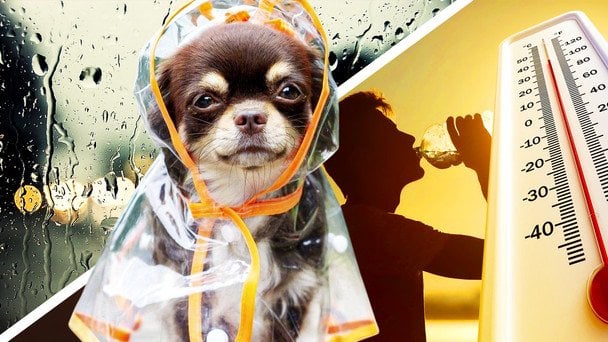 Погода в Україні 19 червня: до +27°, у деяких регіонах підвищена пожежна небезпека