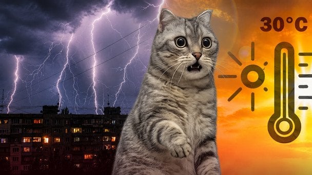 В Україні 29 червня очікується рекордна спека до +38°