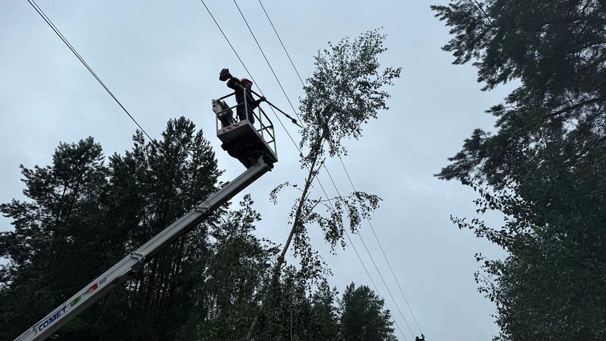 Негода залишила без світла майже 600 населених пунктів у 8 областях України