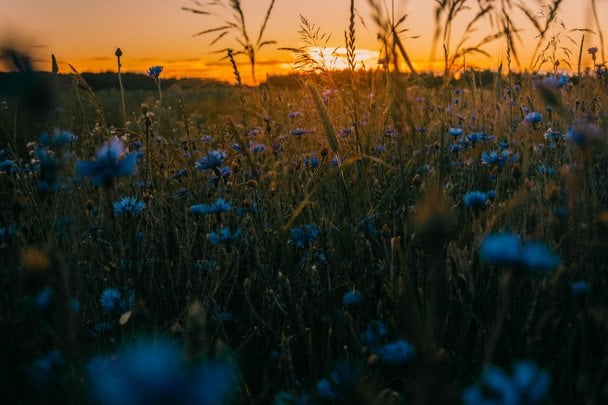 Дощі та грози у більшості регіонів: погода в Україні на 7 липня